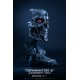 Terminator 2 T-800 Endoskeleton 1/1 scale Art Mask